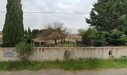 Ostéopathe Pélissanne - Camille Chalençon