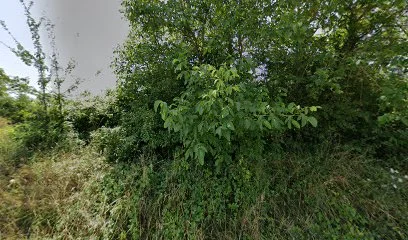 Nicolas Pascal ostéopathe DO - posturologue