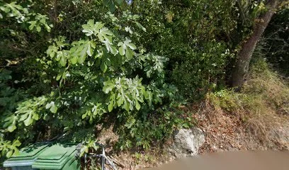 Emma Paran - Psychomotricienne