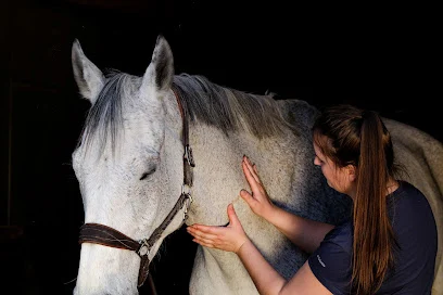 Anne-Sophie Goy - Ostéopathe animalier