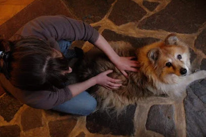 Axelle Bazire - Ostéopathe animalier