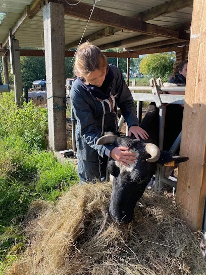 Bertille de Couasnon - Ostéopathe pour animaux OA 1767