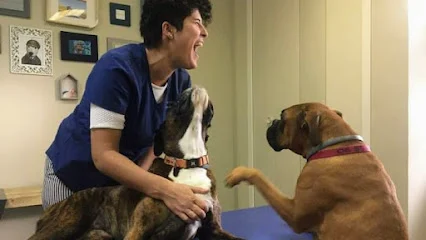 Cabinet d'Ostéopathie Animale à Venelles de Claire Charpentier