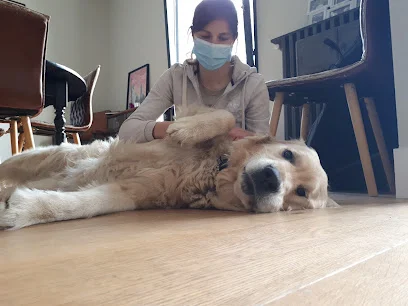 Cassandra Ponçot - Ostéopathe pour animaux