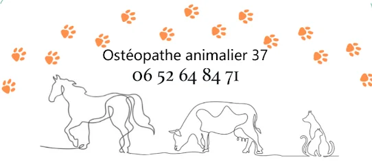 Charline Fouché - Ostéopathe animalier
