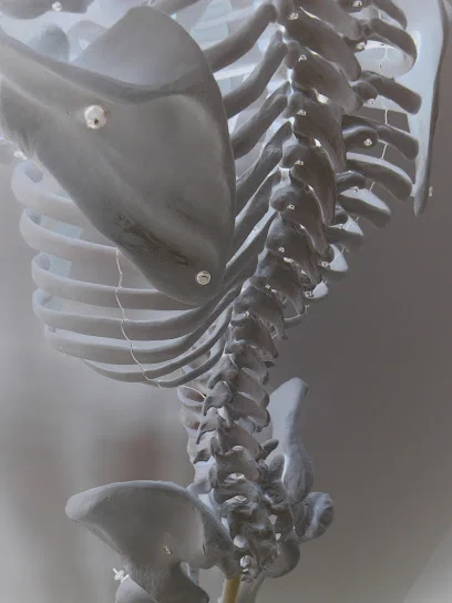 Chiropractie Waregem