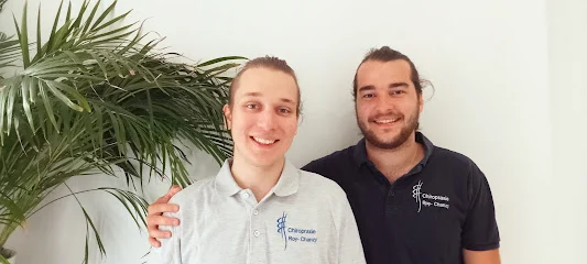 Chiropraxie Roy-Chanzy Brandon Ricou et Thibault Terrier chiropracteurs
