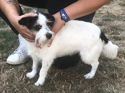 Coralie Lallement Osteopathe animalier