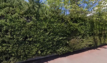 Darmaillac Bruno Eric