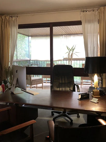 Elise Grassin Ostéopathe Le Chesnay