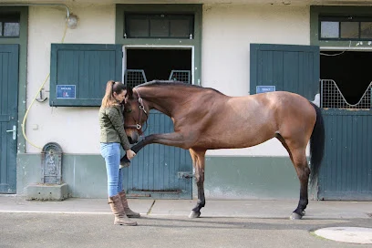 Florie Questel - Ostéopathie Animale OA133