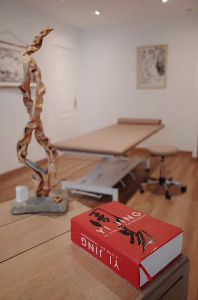 Grenier Stéphane/Énergétique Traditionnelle Chinoise/Manipulation Articulaire douce (Zheng gu).