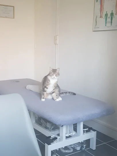 Isabelle HILBER, Neuro-Ostéopathe D.O et Ostéopathie Animale, RDV Doctolib