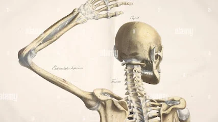 Julie MATEOS, kinésithérapeute : Rééducation de l'épaule