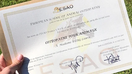 Laura Burg - Ostéopathe Animalier