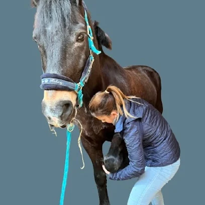 Manon Dervieux - Ostéopathe Animalier OA1152