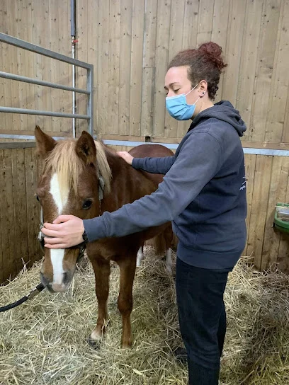 Maréchale - Elo'stéopathe animalier