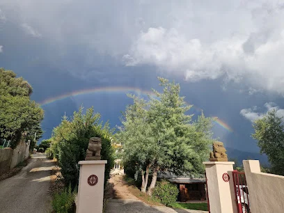 Mickael Donadio - Ostéopathe Ajaccio