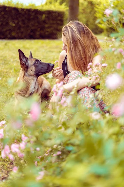 Ostéopathe animalier - Chloé Del-Do