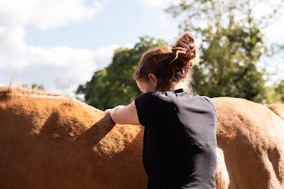 Ostéopathe Animalier Finistère - osteopathe equin et canin - BodyTalk approche pour humain et animaux - Cindy Guermeur