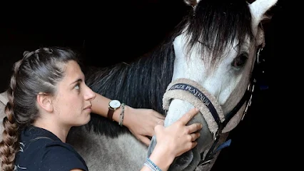 Ostéopathe Animalier - Lara VILLALON - Equinostéo (Equin & Canin)