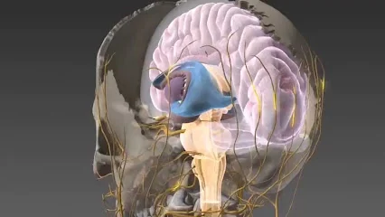 Ostéopathe du Sport 44 | Ostéopathe Saint-Nazaire | Cédric de TOMBEUR