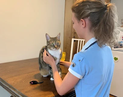 Pauline Yahiaoui - Ostéopathe Animalier OA513