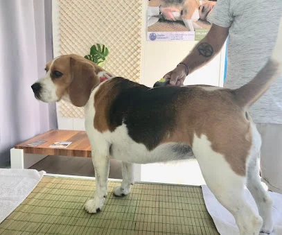 Permanence Ostéo17 - Aytré - La Rochelle Sud