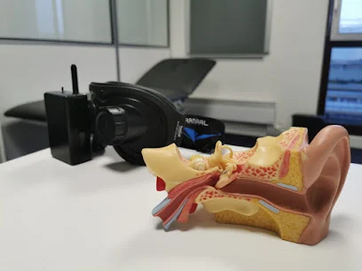 Pôle Vertiges Equilibre - Rééducation vestibulaire - Thierry GUILLOT