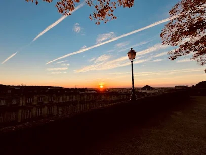 Rioult Swann - Etiopathe