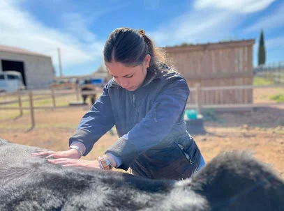 Salomé Espelly - Ostéopathe Animalier