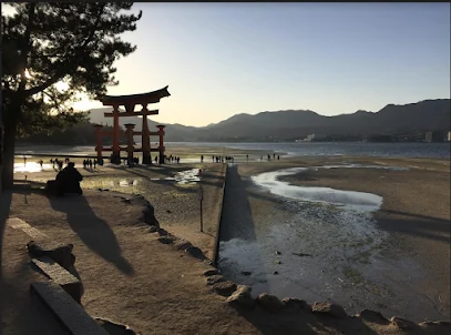 Shiatsu Valérie Ska Koeller