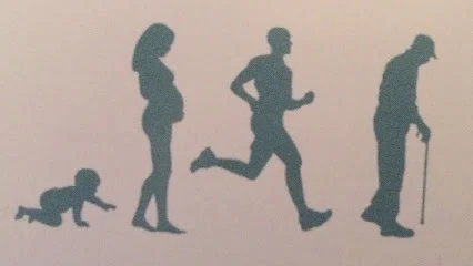 Sophie d'Hauthuille - Ostéopathe