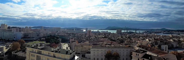 Sylvain HERVO - Kiné respi adulte - BPCO