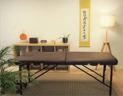 Thérapeute holistique, acupuncteur, méthode Poyet - Lyon